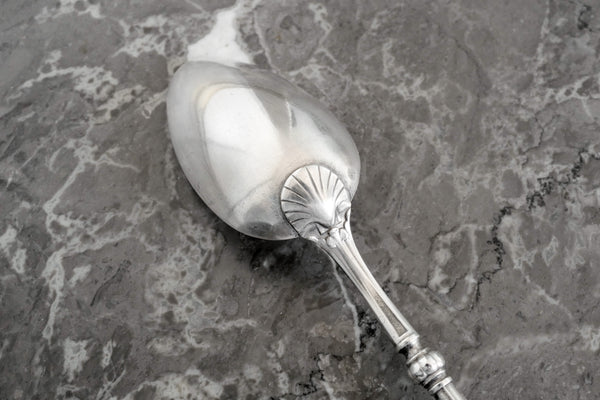 Silver Plated Medicine Spoon